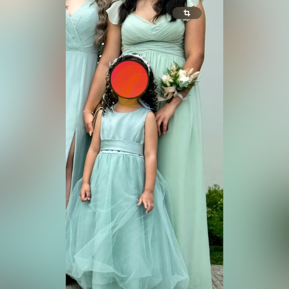 COPY - David’s Bridal flower girl dress